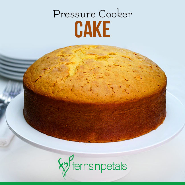 Article How To Make Cake In A Pressure Cooker Ferns N Petals