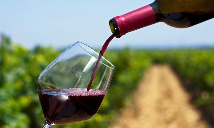 Wine Tasting at Vineyard