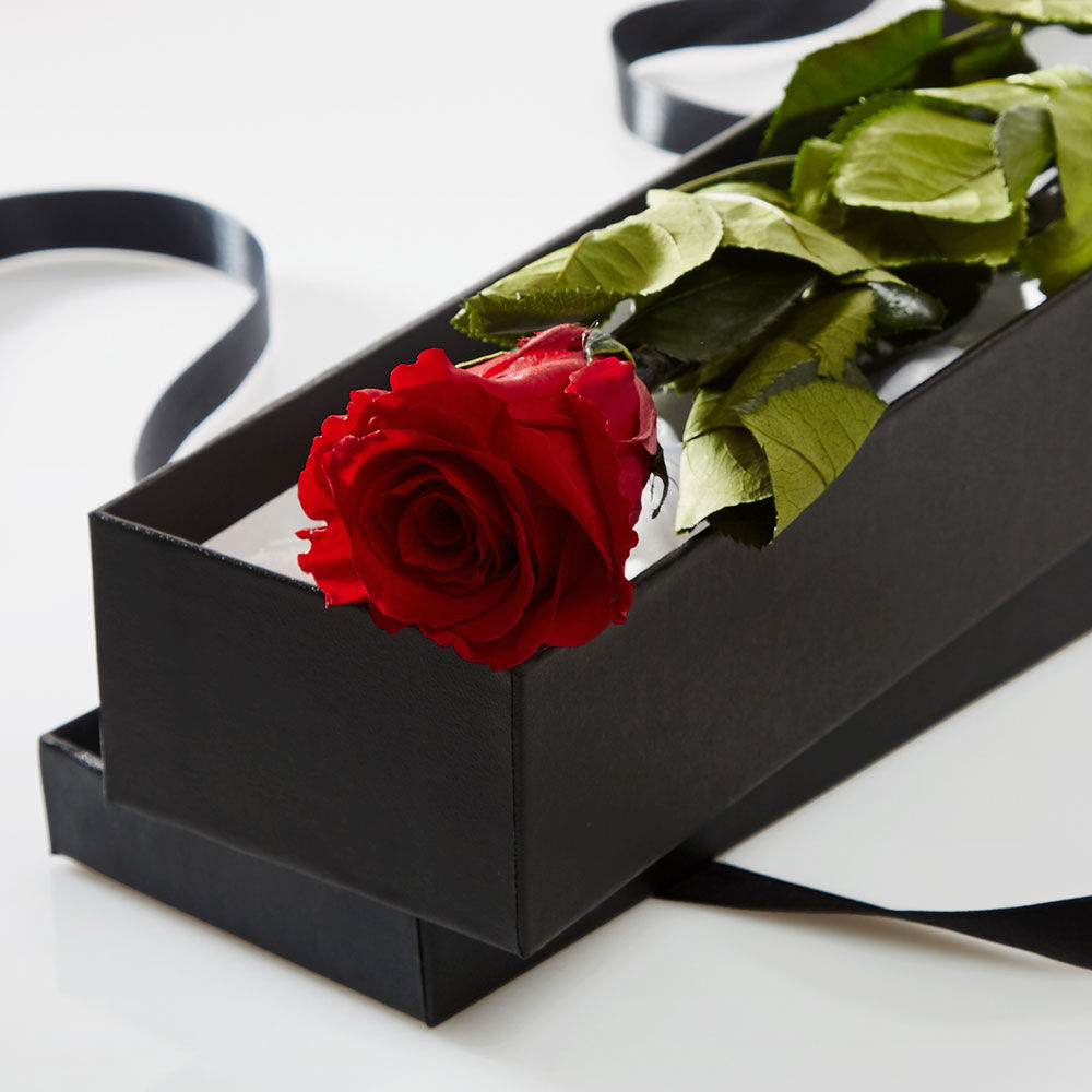 Single Red Rose in Gift Box