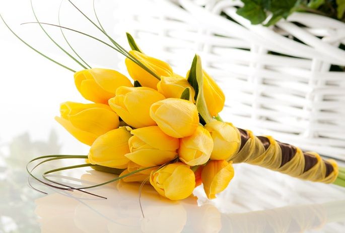 Yellow Tulip Flowers