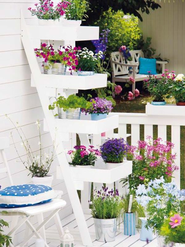 How to Beautify Your Balcony with Plants? - Ferns N Petals