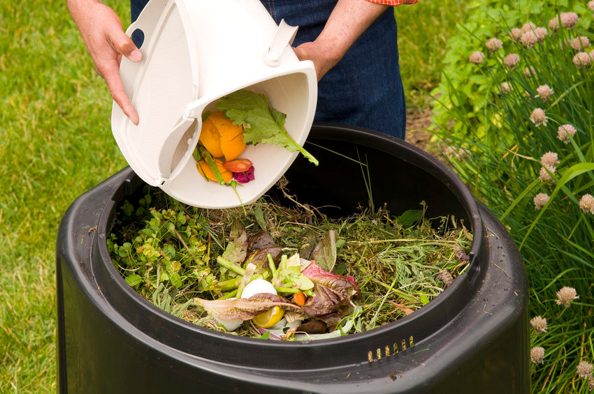 Can I Put Compost In My Garden Waste Bin at John Thornton blog