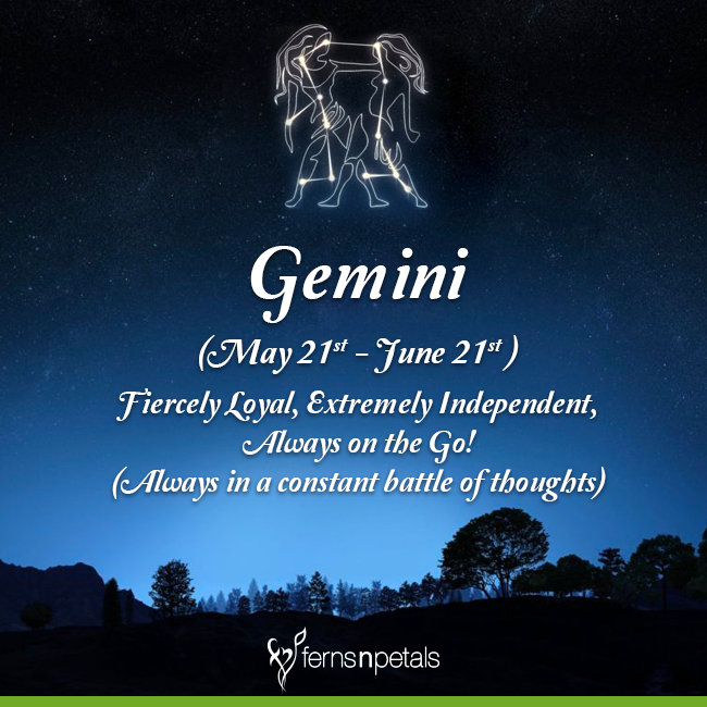 Co je schopnost Gemini?