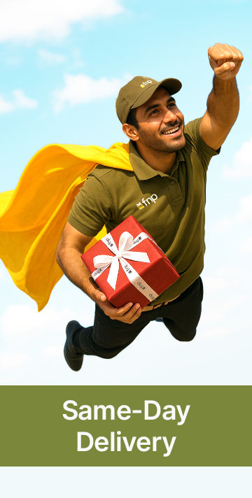 Same Day Delivery