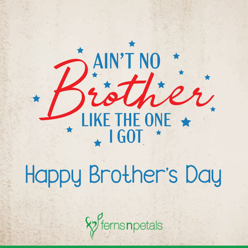 20 Happy Brother S Day Quotes Wishes N Messages Ferns N Petals