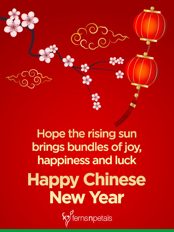 20 Unique Happy Chinese New Year Quotes 2019 Wishes Messages