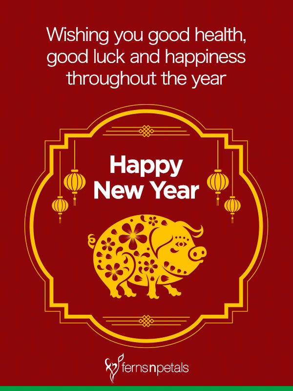 20 Unique Happy Chinese New Year Quotes 2019 Wishes Messages