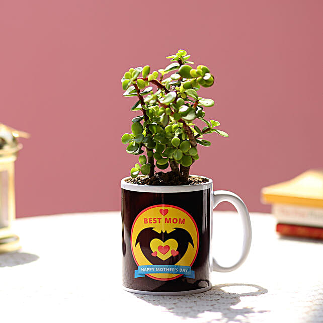 send a plant for mother's day