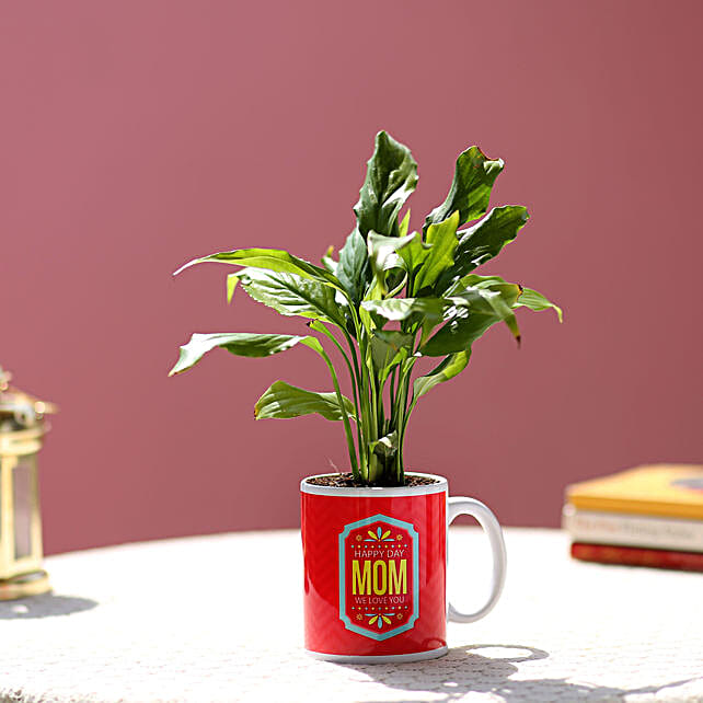 send a plant for mother's day