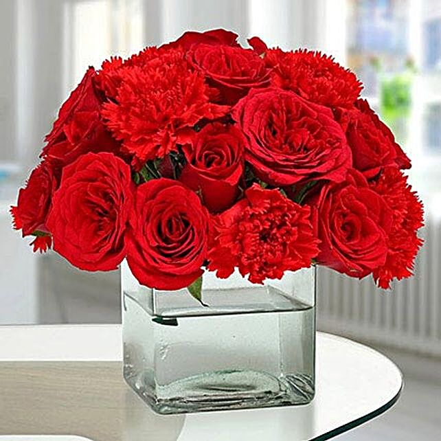 Send Carnations Flowers Online | White Carnations - Ferns N Petals