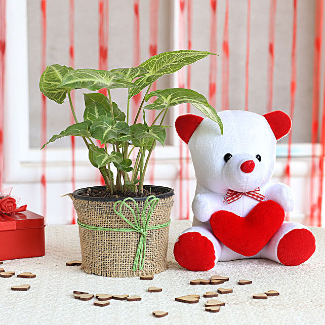 teddy day gifts online