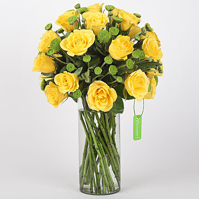 Yellow Roses Amp Green Daisies In Glass Vase Gift Yellow Roses