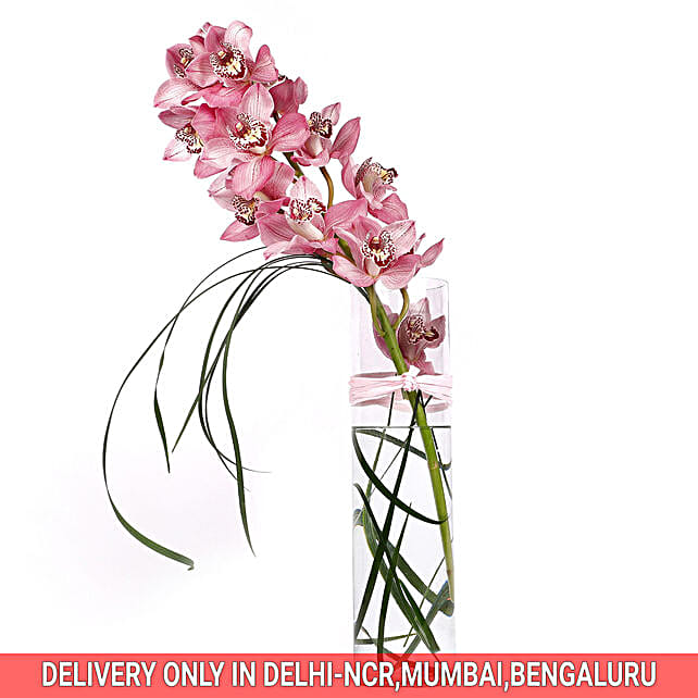 Pink Cymbidium Orchid In Vase Gift Pink Orchid Vase Arrangment