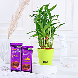 2 Layer Bamboo In Melamine Pot & Cadbury Chocolates-picture-23