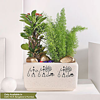 Asparagus and Pink Euphorbia Delight-picture-36