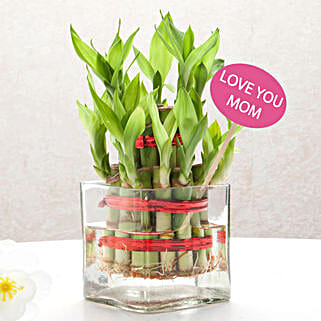 Bamboo Bliss Gift for Mom-image-0
