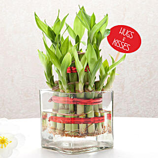 Bamboo Ensemble For Your Valentine-image-2