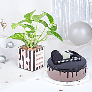 Birthday Bliss Arrangement-picture-41