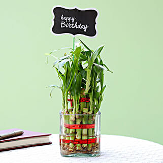 Birthday Wishes 2 Layer Bamboo-image-24