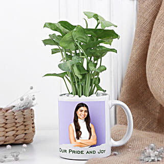 Blooming Syngonium Love Duo For Daughter