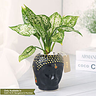 Buddhas Blessing in a Black Pot-picture-24