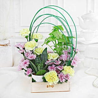 Carnations N Syngonium Plant Symphony-picture-14