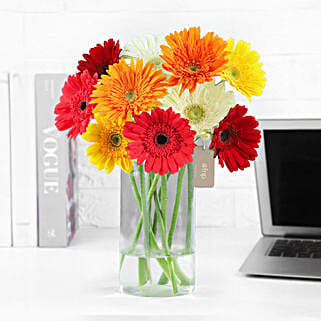Cheerful Gerbera Blossoms Vase-picture-12