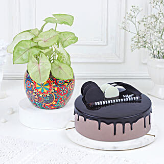 Chocolate Ecstasy-image-40
