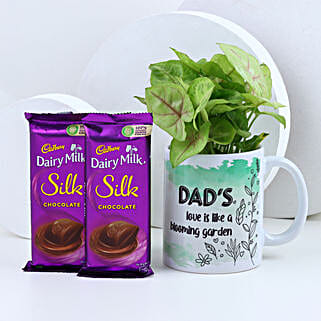 Chocolates N Syngonium Surprise for Dad-picture-13