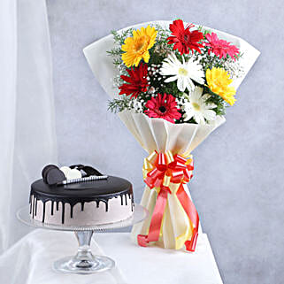 Colourful Gerberas N Chocolate Cake Combo