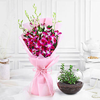 Delightful Daisies N Jade Plant Gift Combo-picture-35