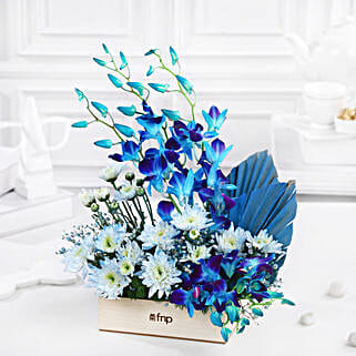 Dreamy Desire Orchids N Daisies Arrangement-picture-41