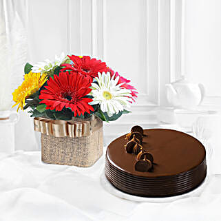 Elegant Gerbera Arrangement N Truffle Cake-image-44