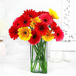Elegant Gerberas In Glass Vase-picture-31