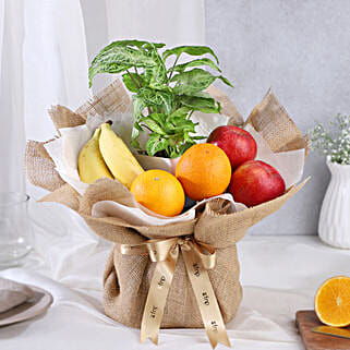 Evergreen Fruit Delights-picture-21