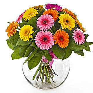 Flowers Of Paradise Gerberas Vase-picture-21