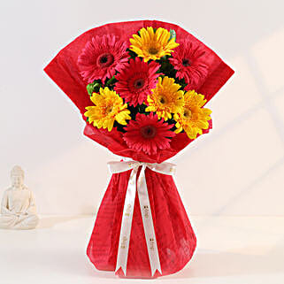 Glorious Red Yellow Gerbera Blossoms-picture-17