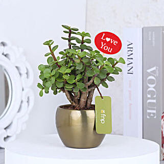 Golden Love Jade Affair