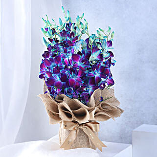 Gorgeous Blue Orchids Arrangement-picture-24