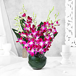 Gorgeous Purple Orchid Bunch-picture-12