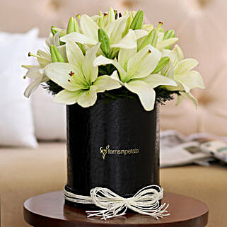 Graceful White Asiatic Lilies-image-11