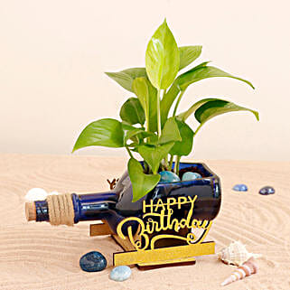 Happy Birthday Money Plant Antiquity Bottle-picture-27