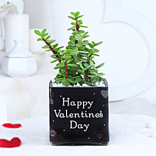Jade Heart Petals-picture-34
