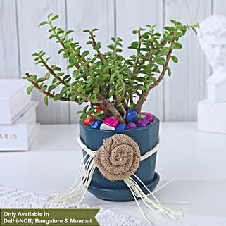 Jade Opulence-picture-10