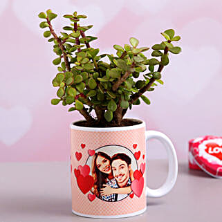 Jade Plant In Personalised Hearts Mug Hand Delivery-picture-22