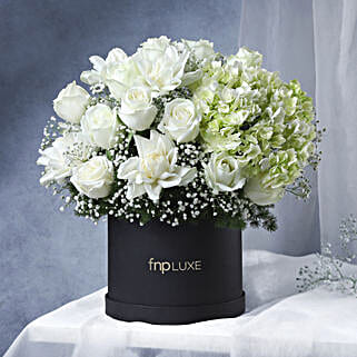 Luminous White Ensemble