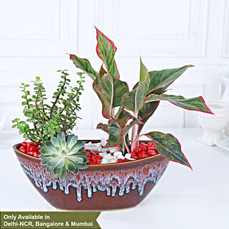 Lush Trio Botanical Haven-picture-16
