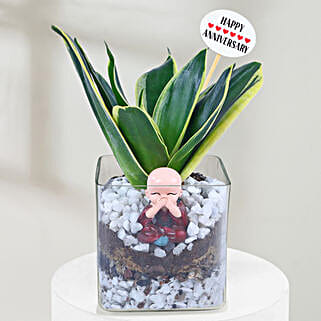 Milestone Bliss Sansevieria Elegance-picture-10