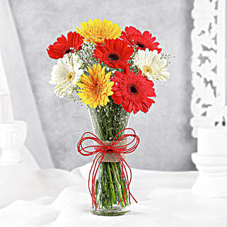 Mixed Brilliance Gerbera Vase-picture-38