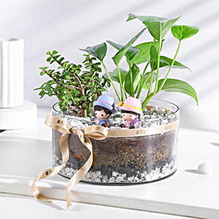 Money N Jade Plant Prosperity Duo